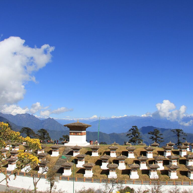 Tiny Bhutan Travels