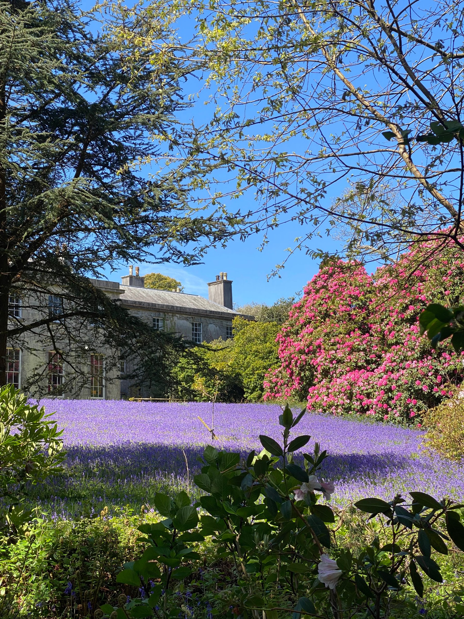 Enys House & Gardens