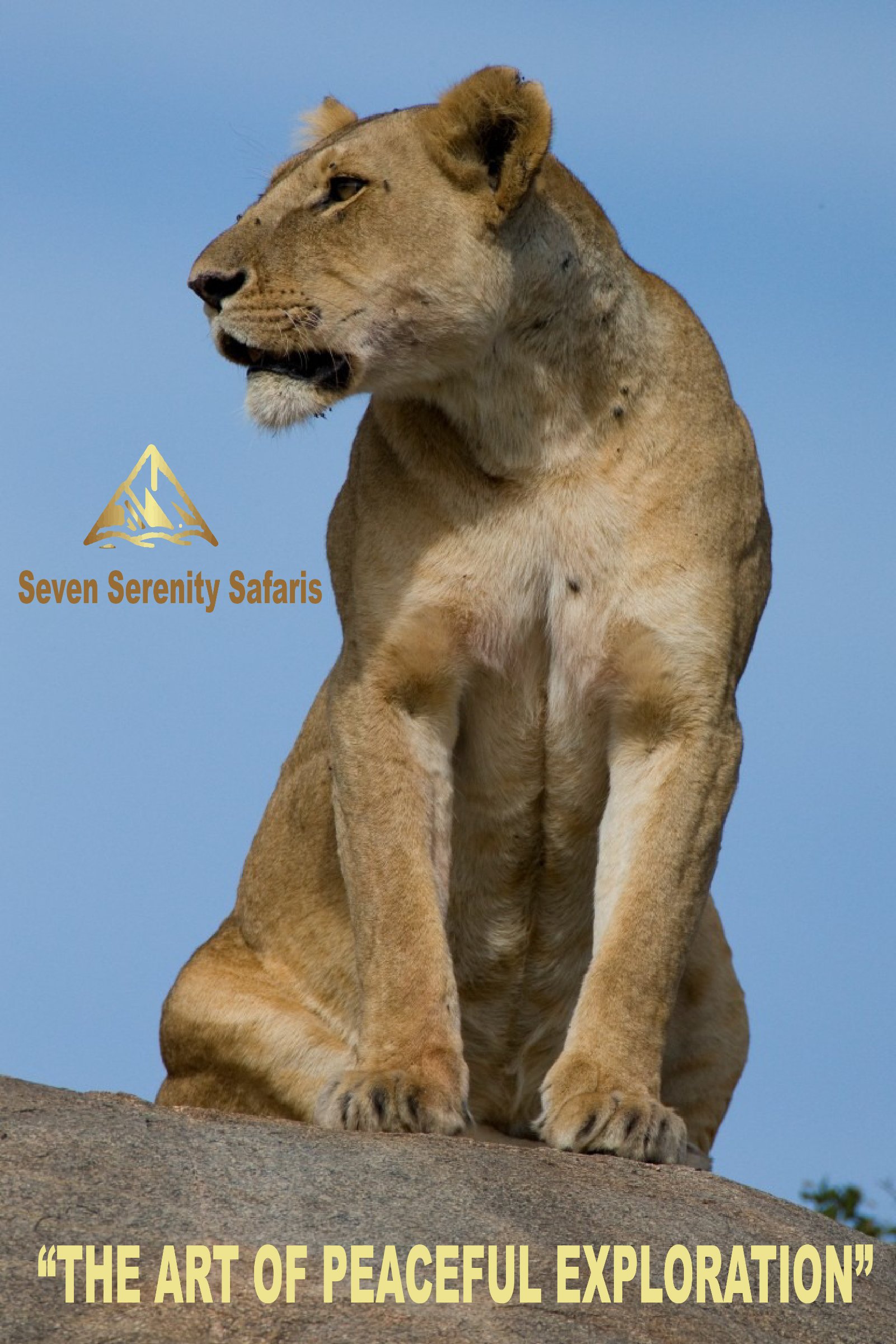 seven serenity safaris