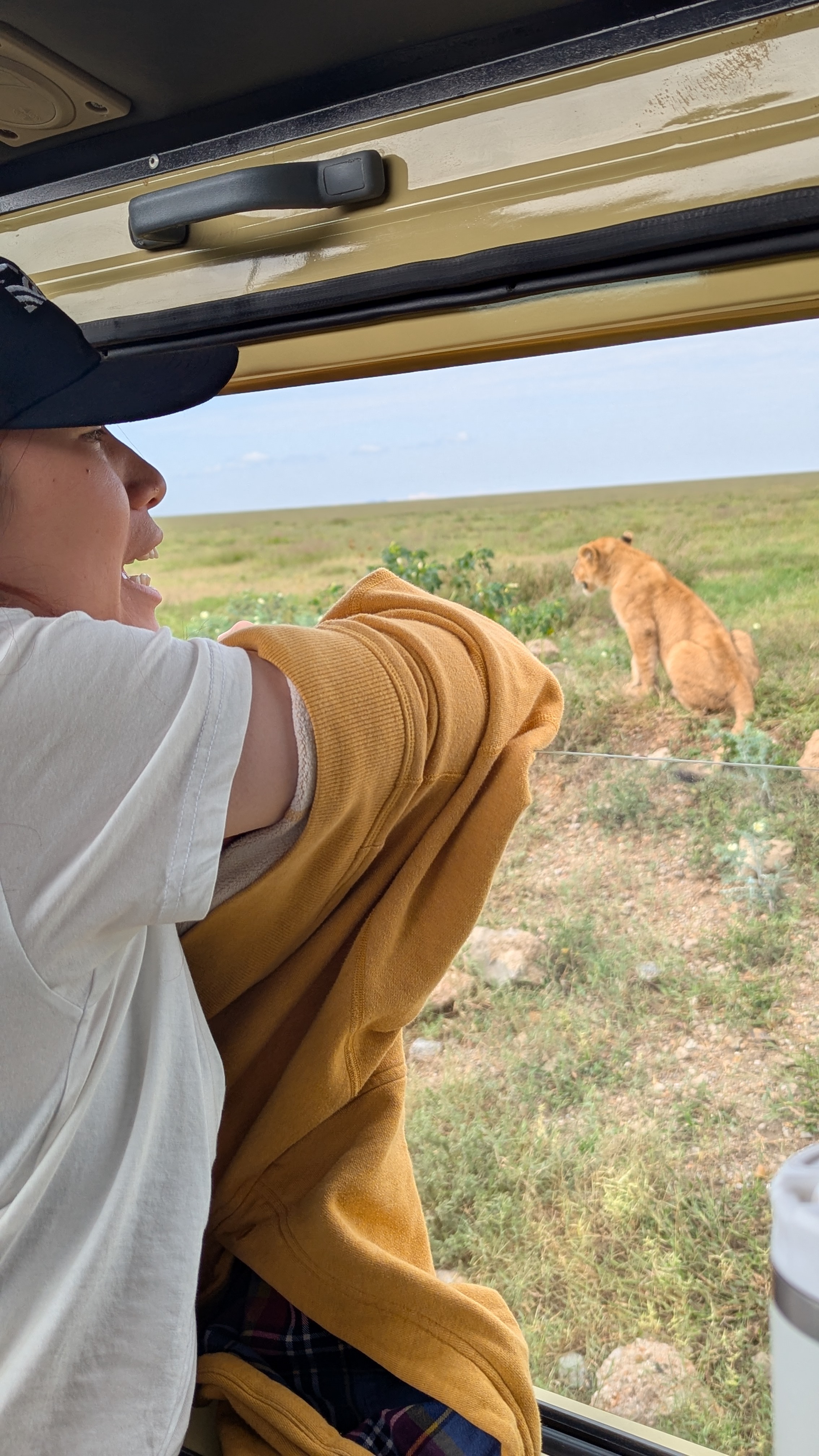 Wildkingsafrica