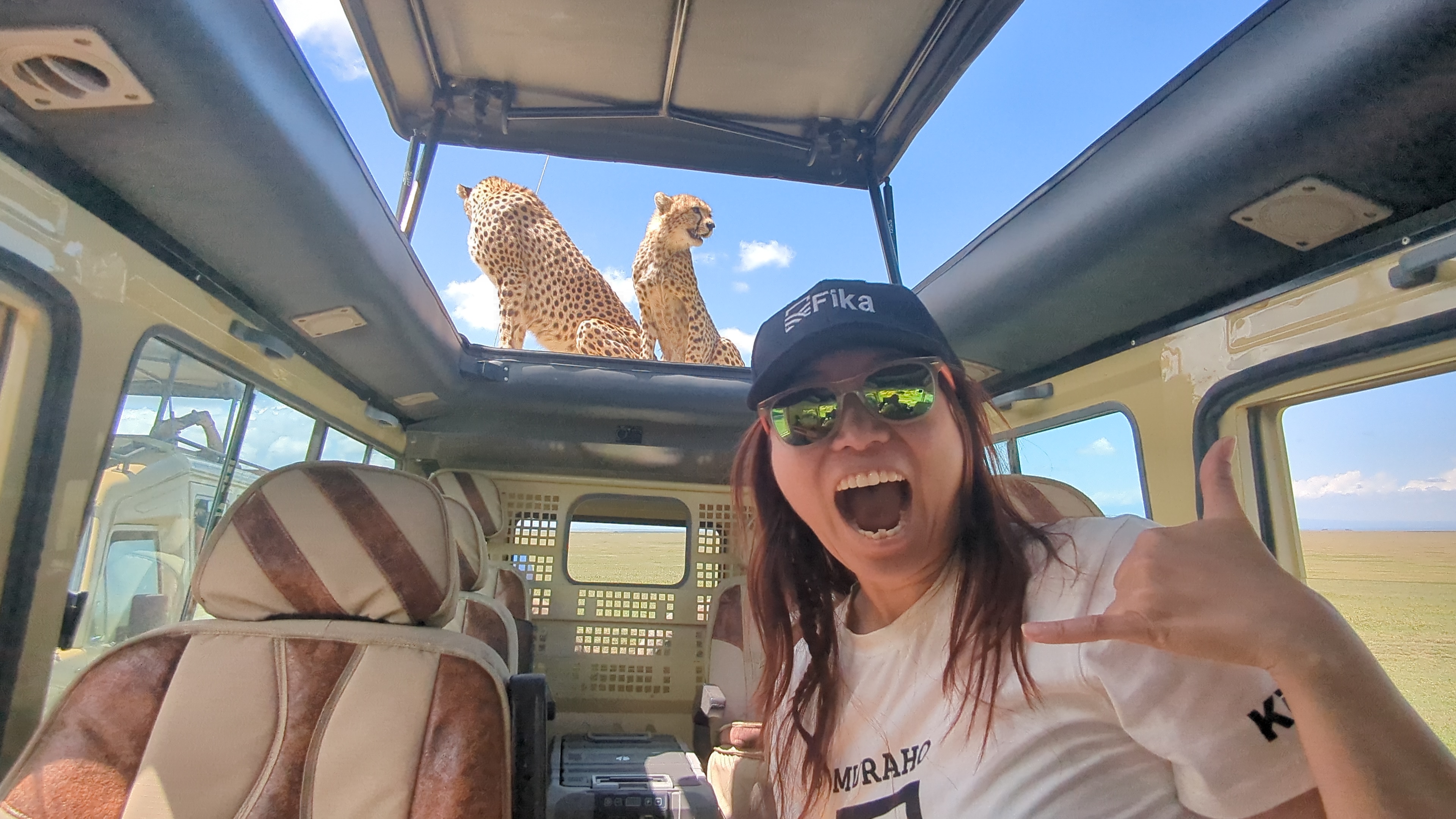Wildkingsafrica