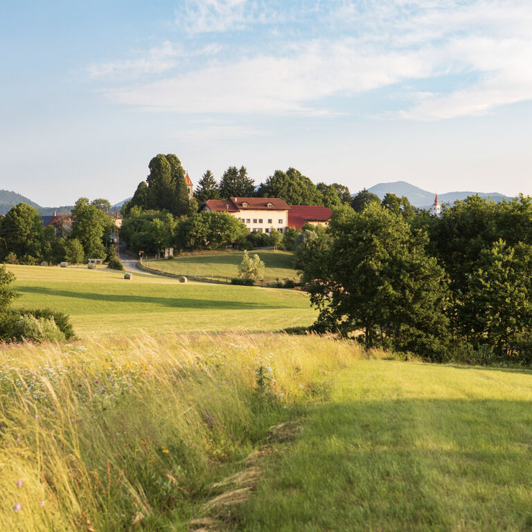 Green Escape garni hotel