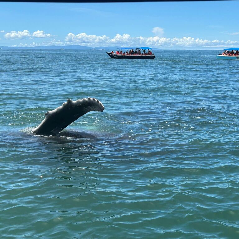 OsaMar Adventures