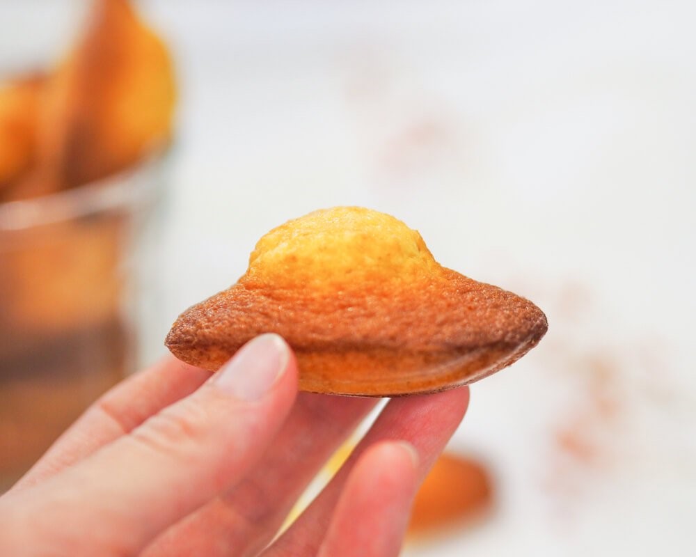 EXPLORE FOOD TOURS