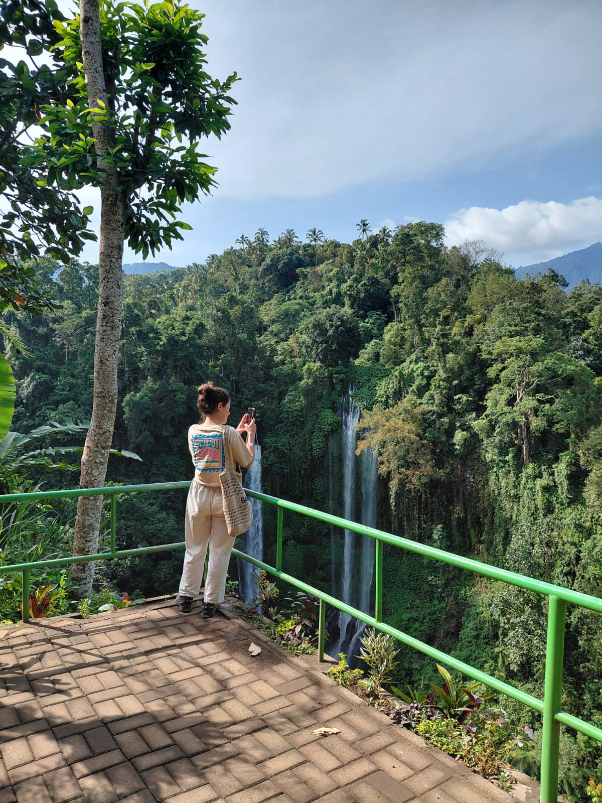 Sekumpul Waterfall & Hanging