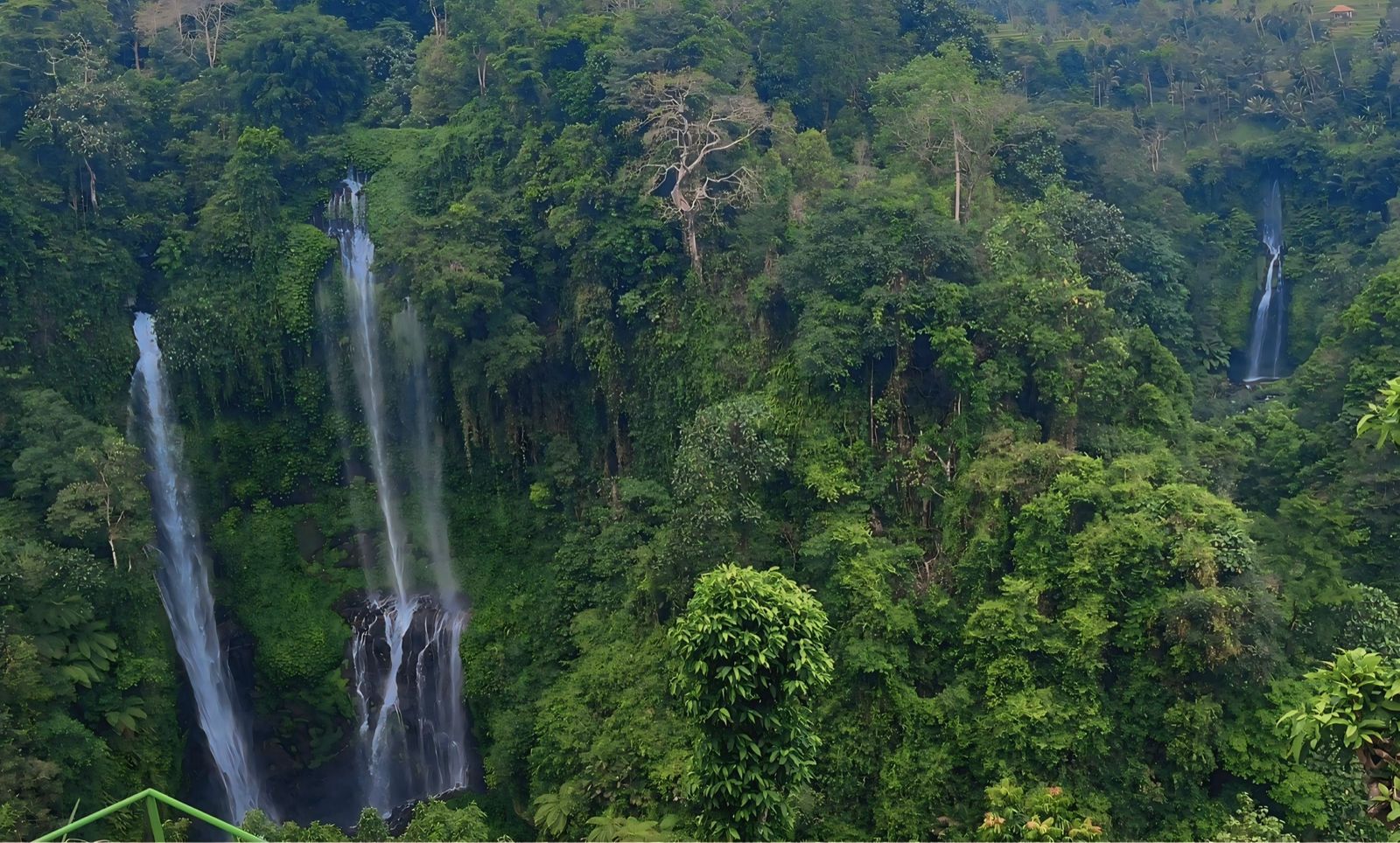 Sekumpul Waterfall & Hanging
