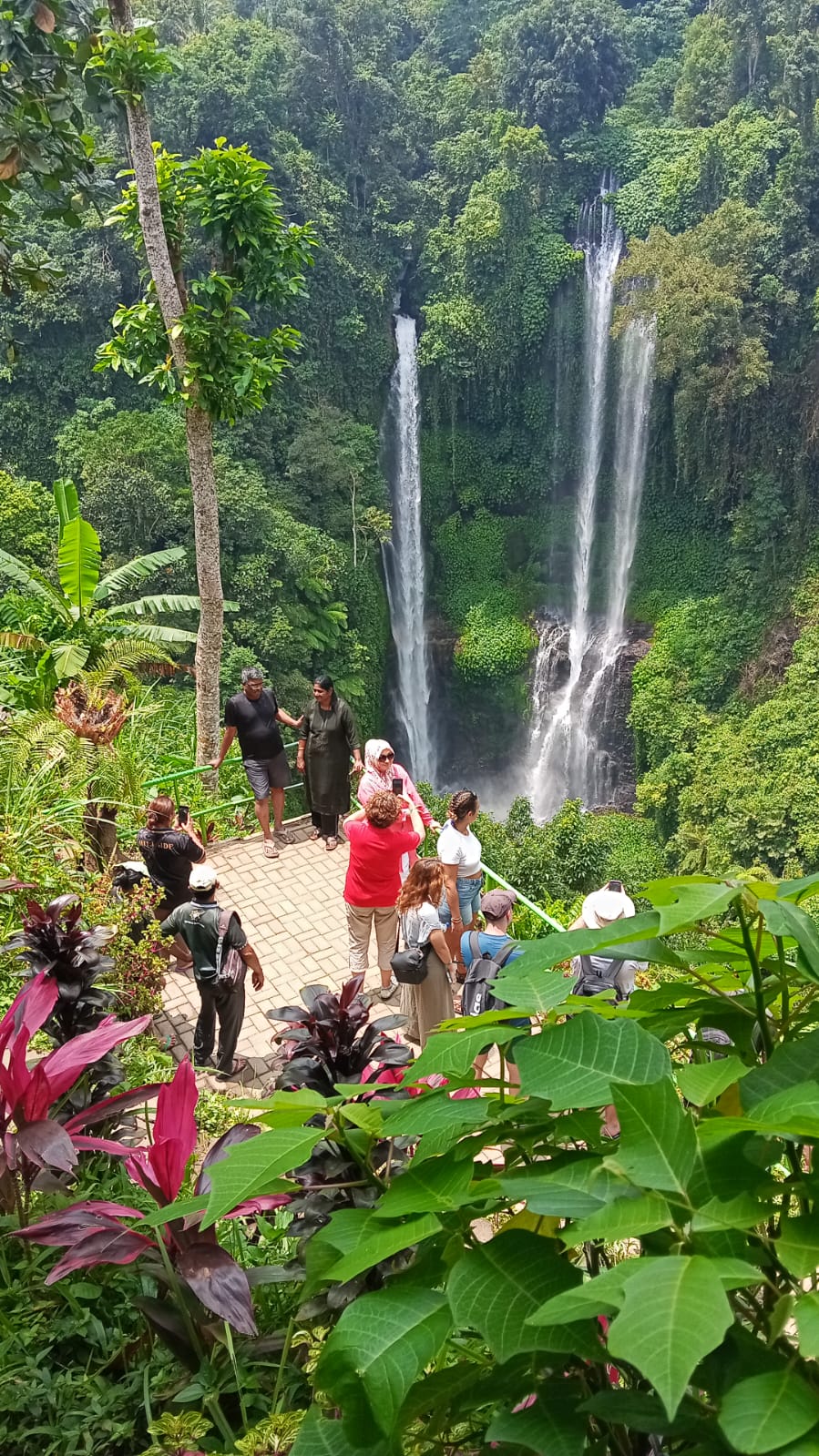 Sekumpul Waterfall & Hanging