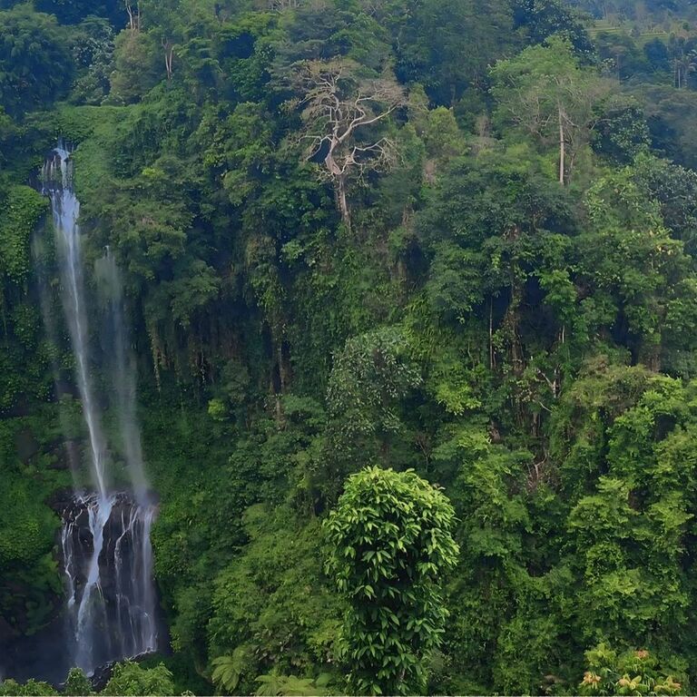Sekumpul Waterfall & Hanging
