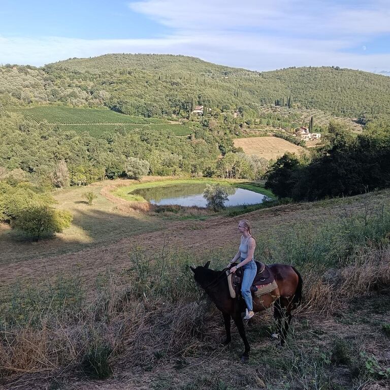Farm in Tuscany