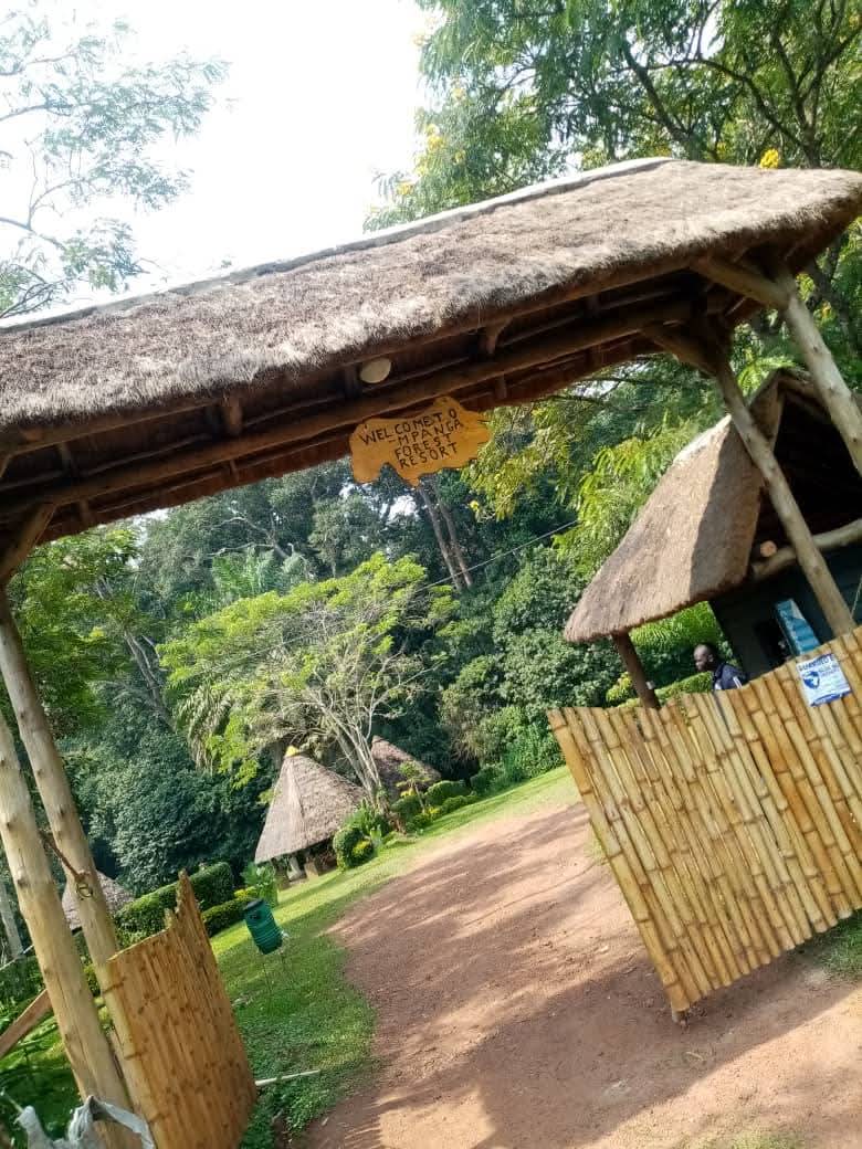 Green Canopy Adventures Uganda
