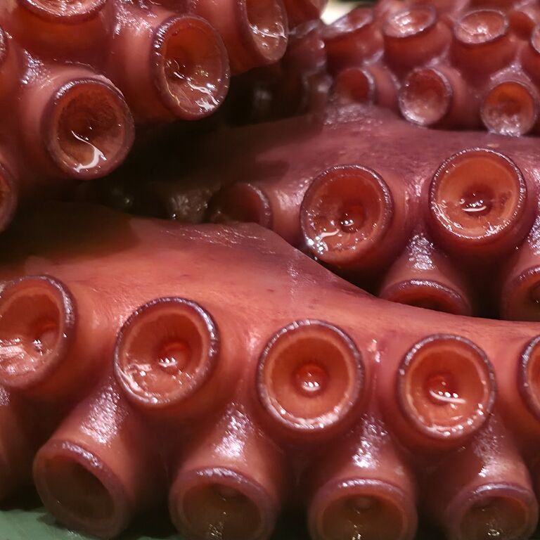 Sushi Olderchef