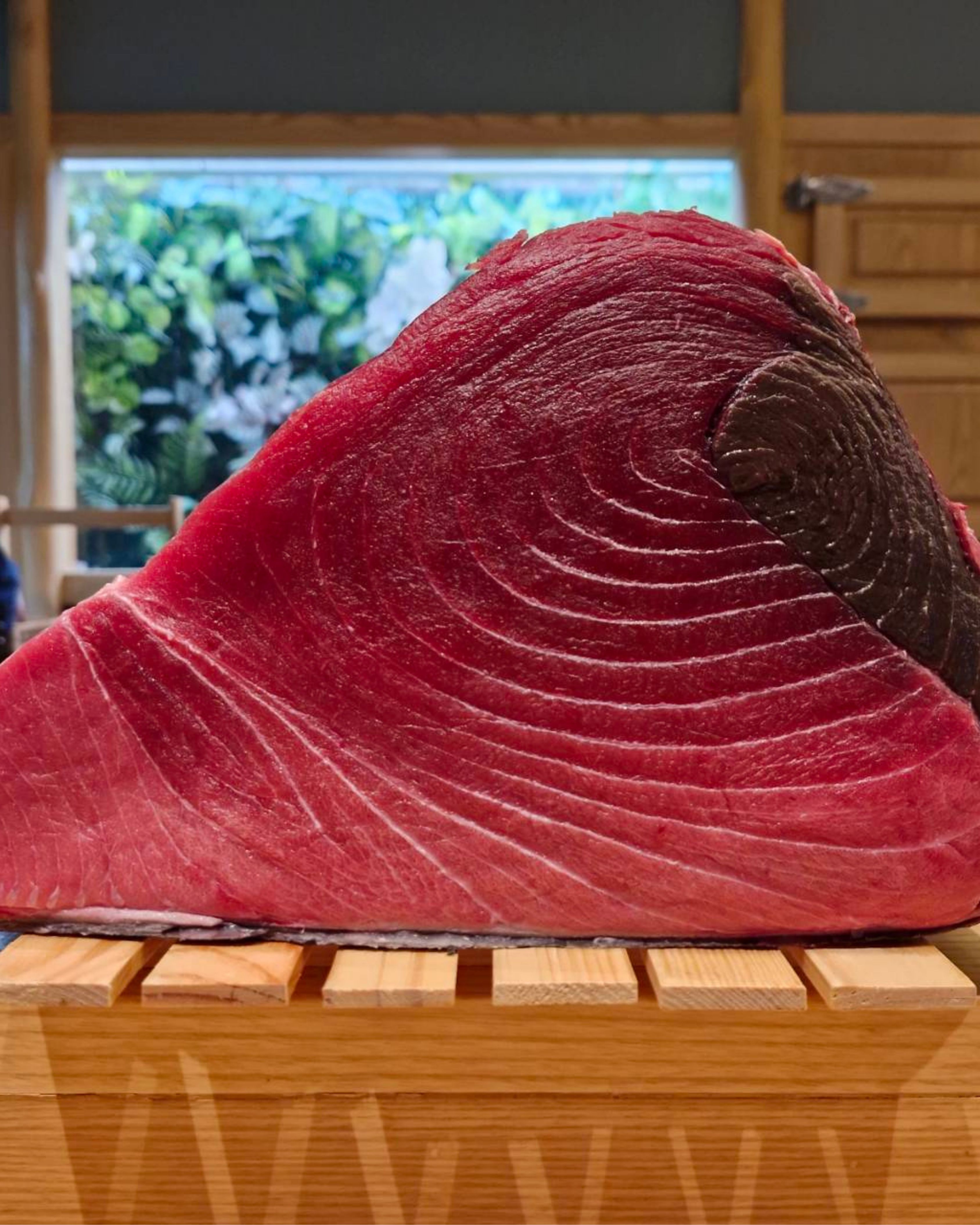 Sushi Olderchef