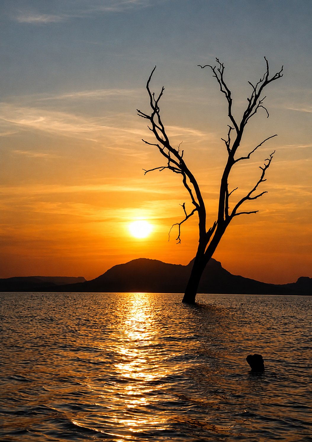 Cia do Cerrado Ecoturismo
