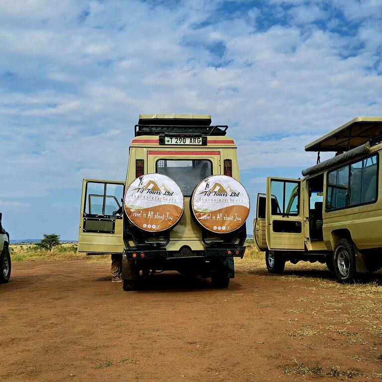 Tanzania Joy Tours