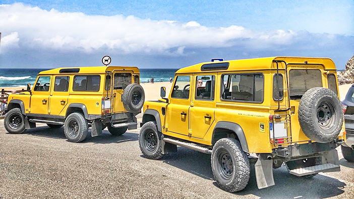 Yellow Cab TT Tours