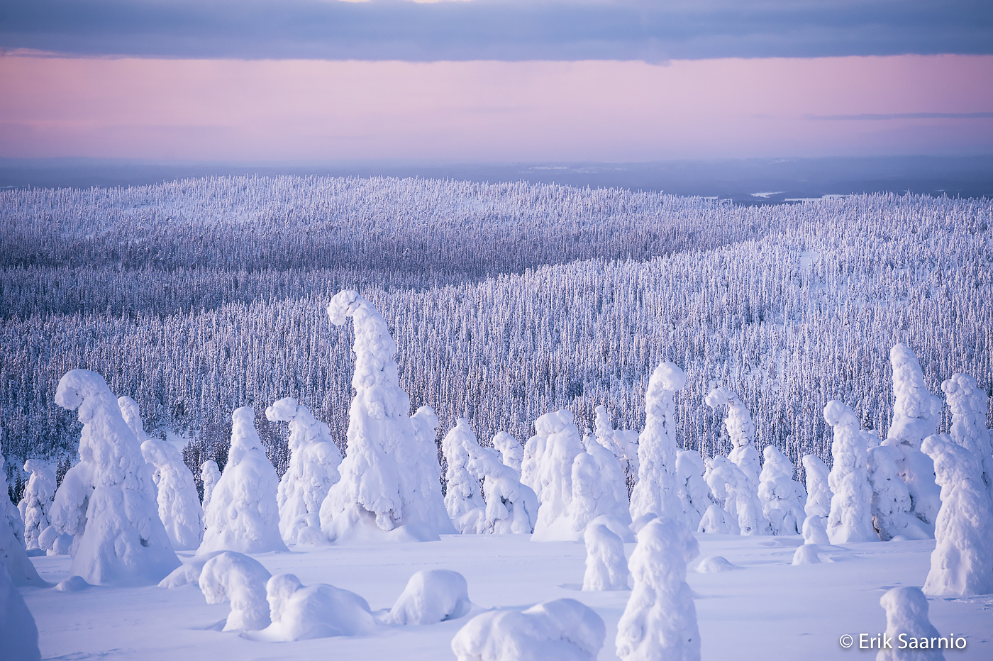 Northern Lights Taiga Oy
