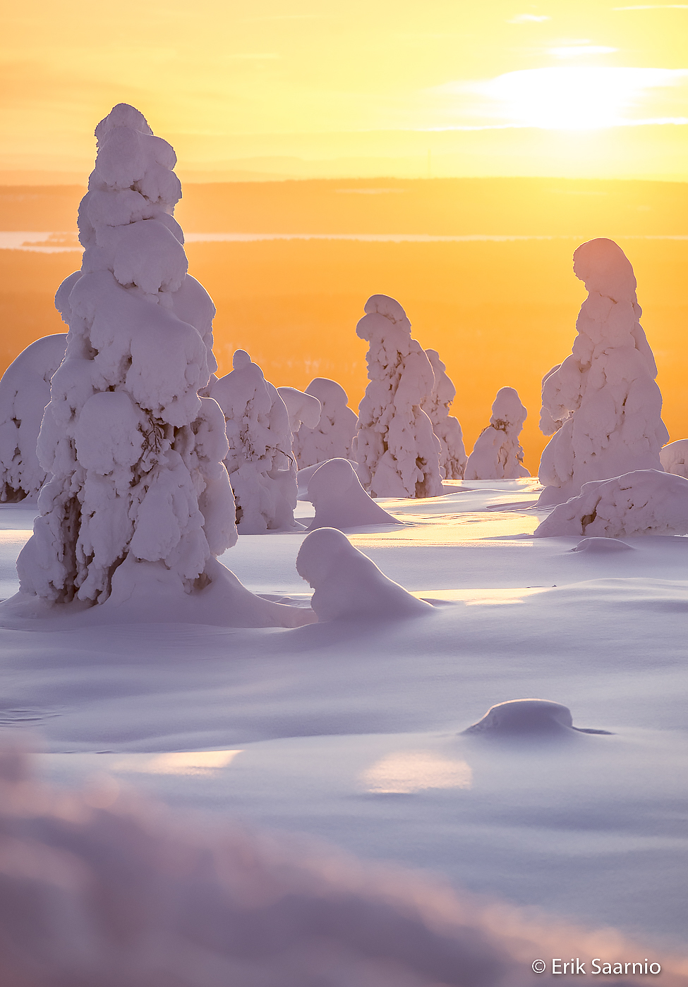Northern Lights Taiga Oy