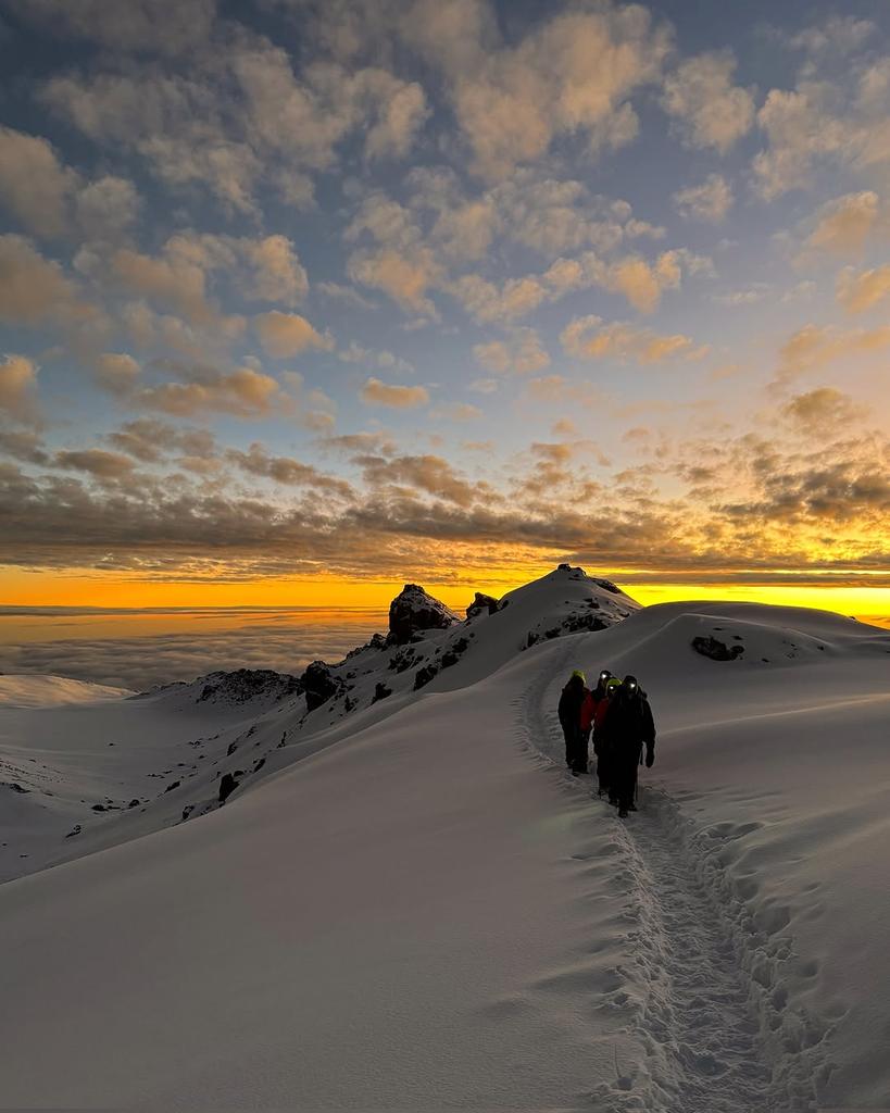 Mt.Kenya & Kilimanjaro Hikers