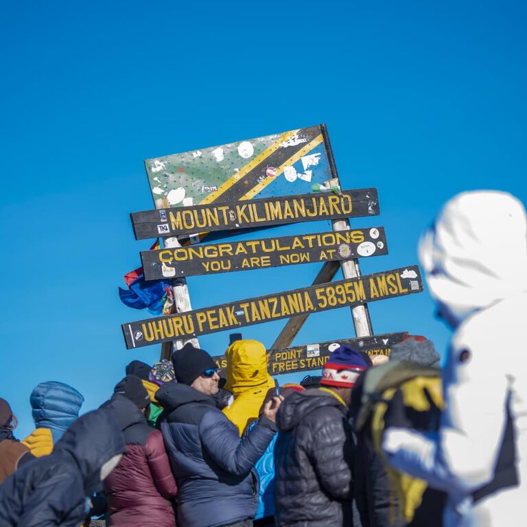Mt.Kenya & Kilimanjaro Hikers