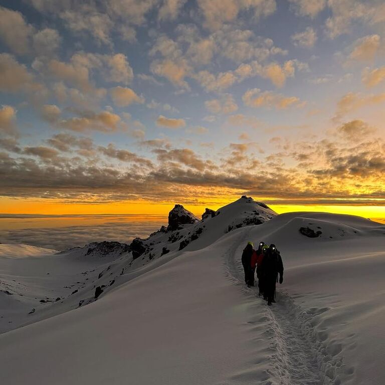 Mt.Kenya & Kilimanjaro Hikers