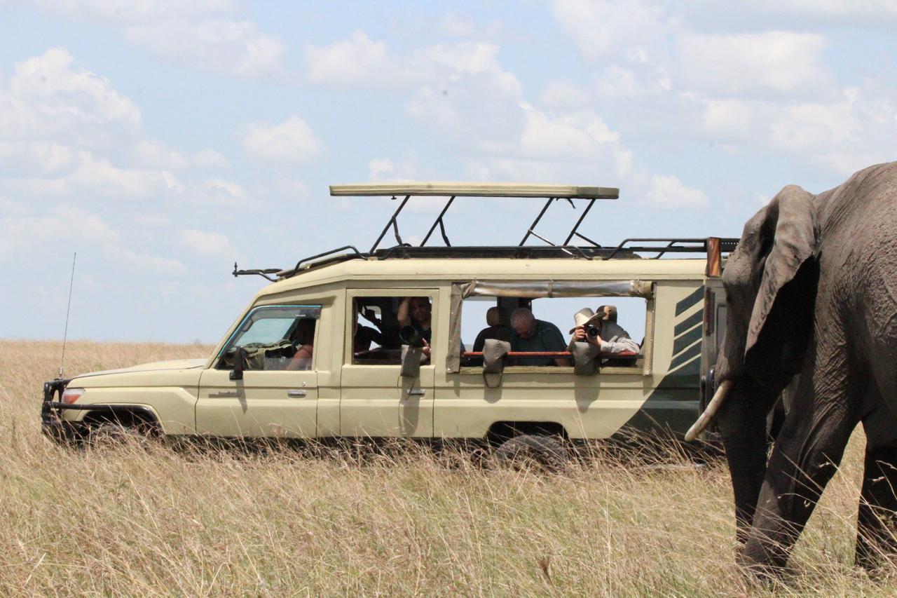 JOHNBOW TOURS & TRAVEL LTD