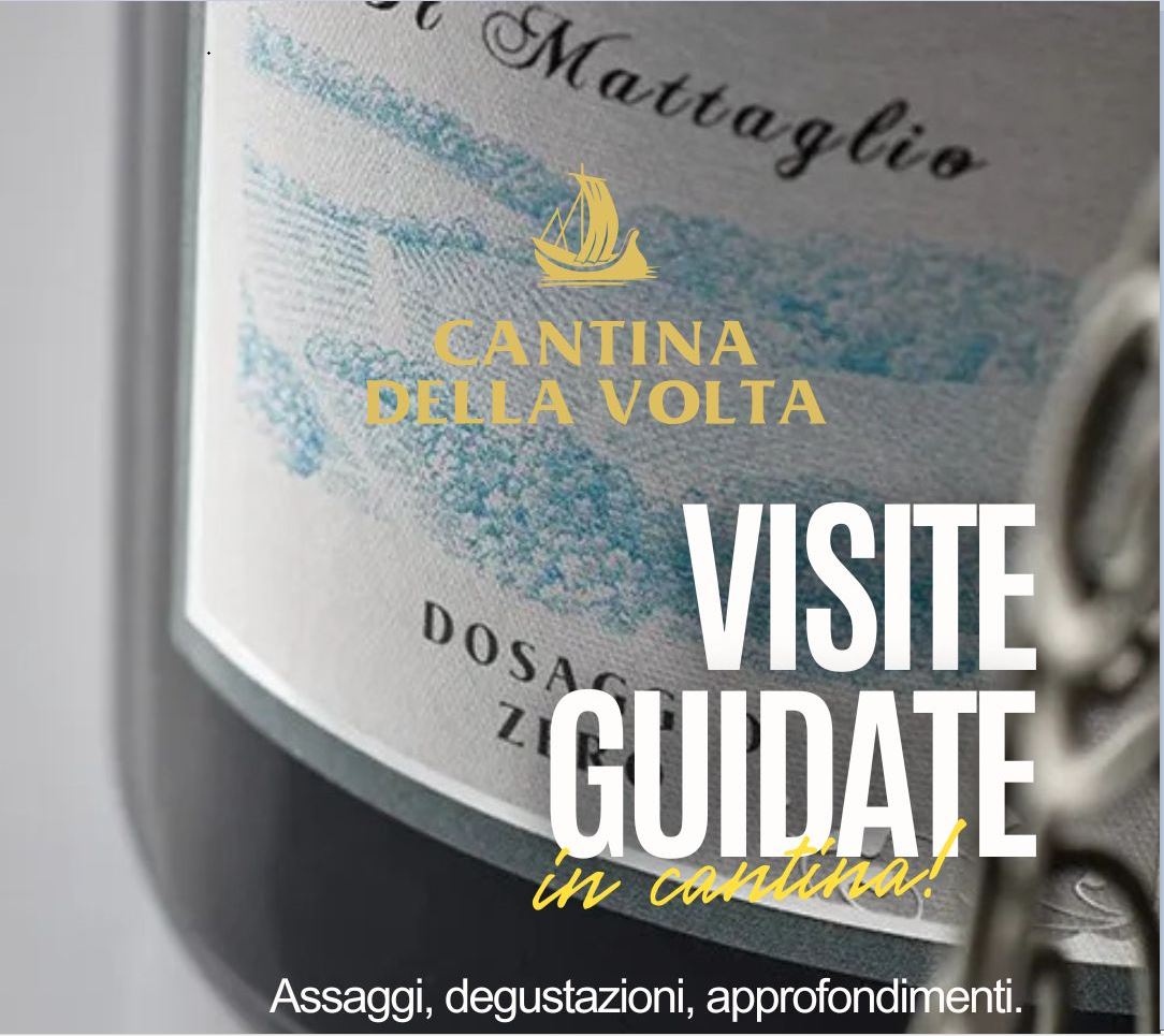 CANTINA DELLA VOLTA