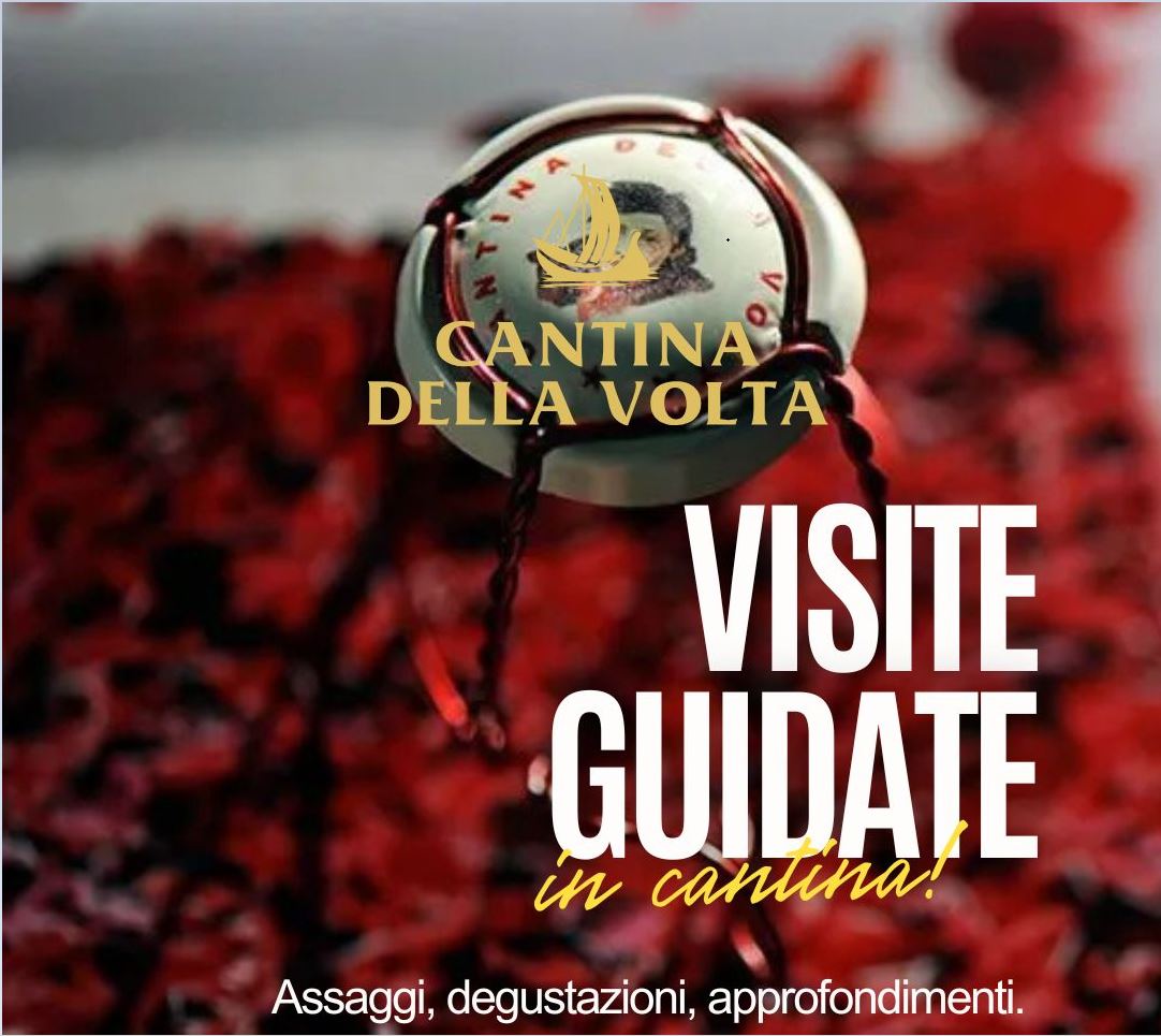 CANTINA DELLA VOLTA