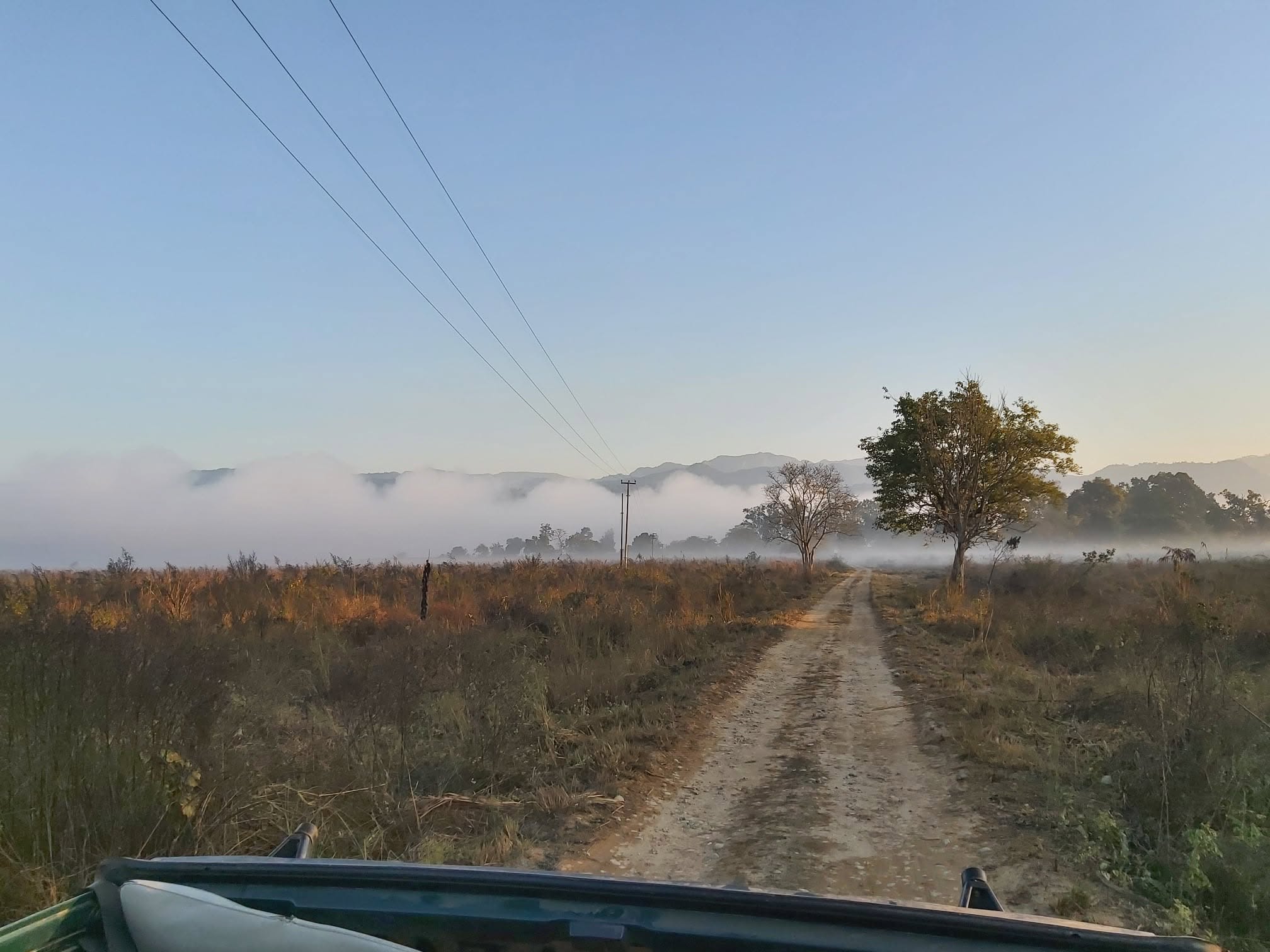 Indian Wildlife Adventures