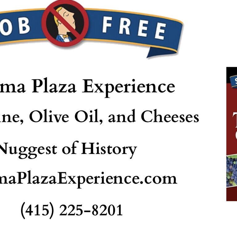 Sonoma Plaza Experience