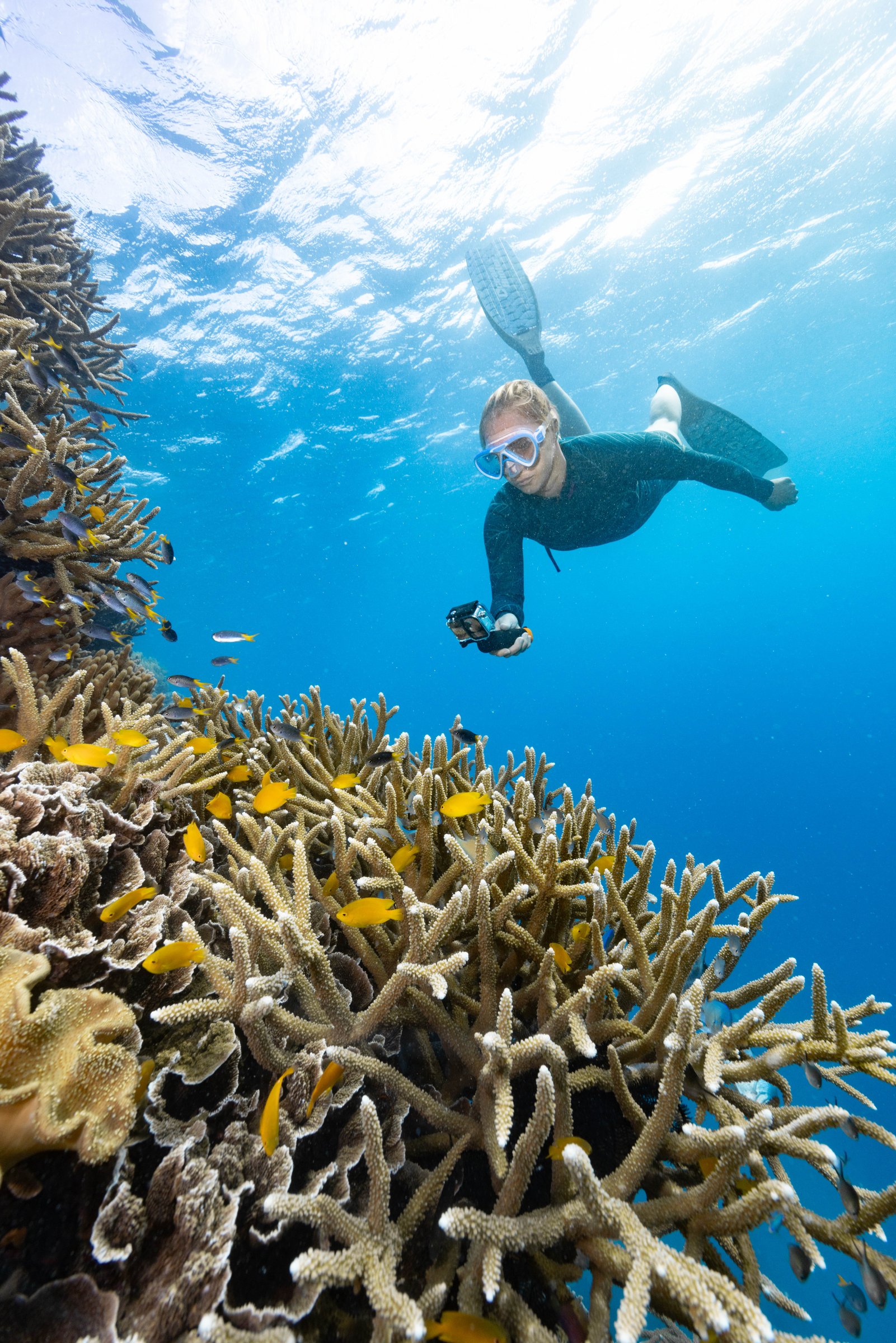 Calypso Reef Imagery Centre