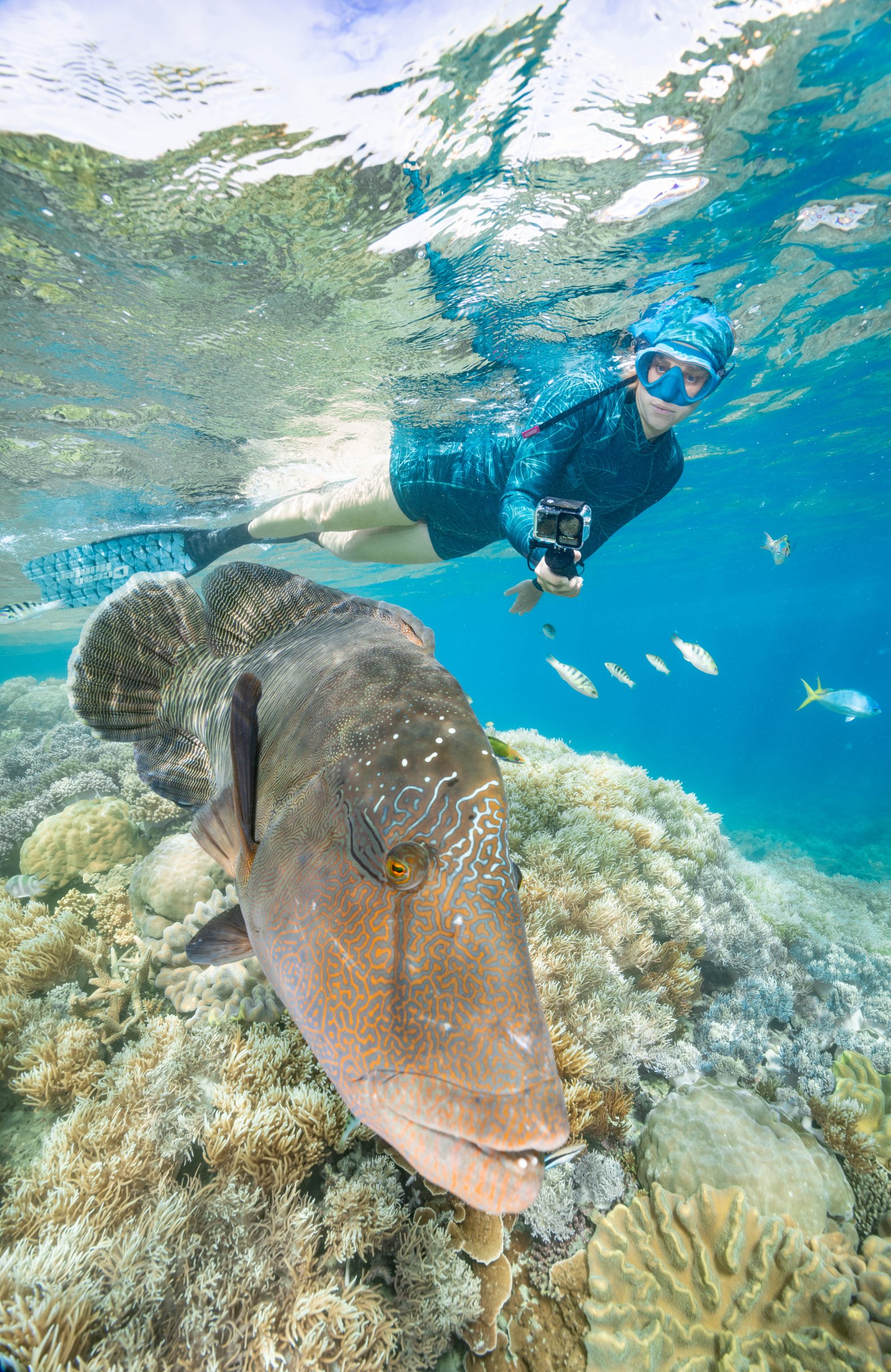 Calypso Reef Imagery Centre