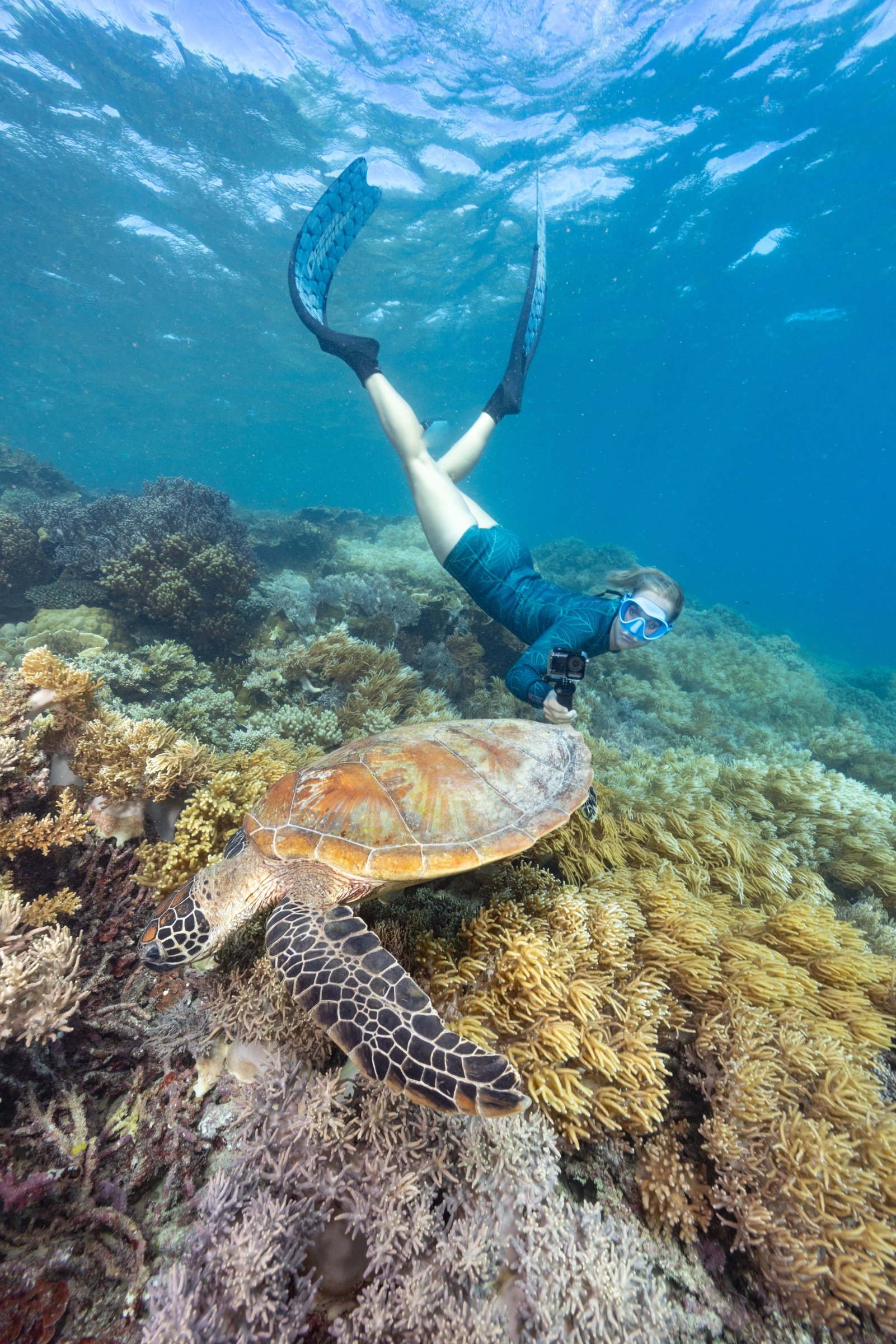 Calypso Reef Imagery Centre