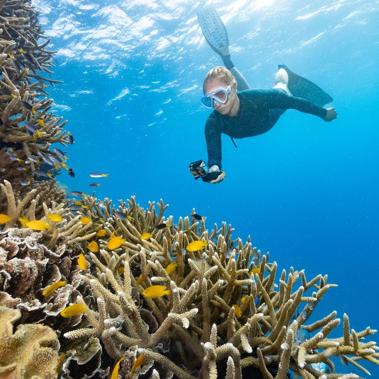 Calypso Reef Imagery Centre
