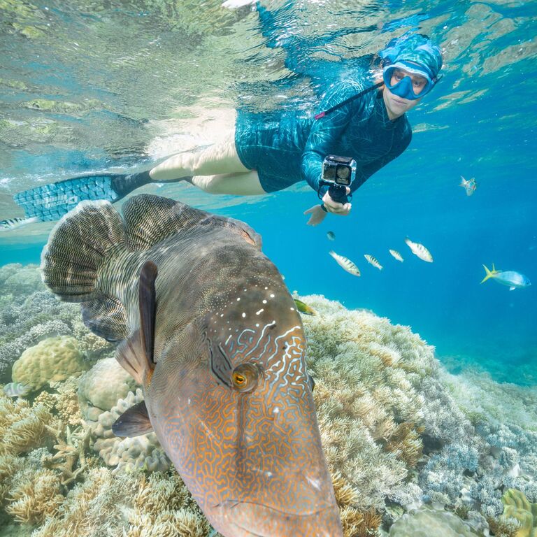 Calypso Reef Imagery Centre