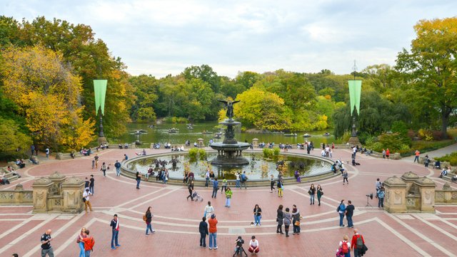 Official Central Park Pedicab Tours