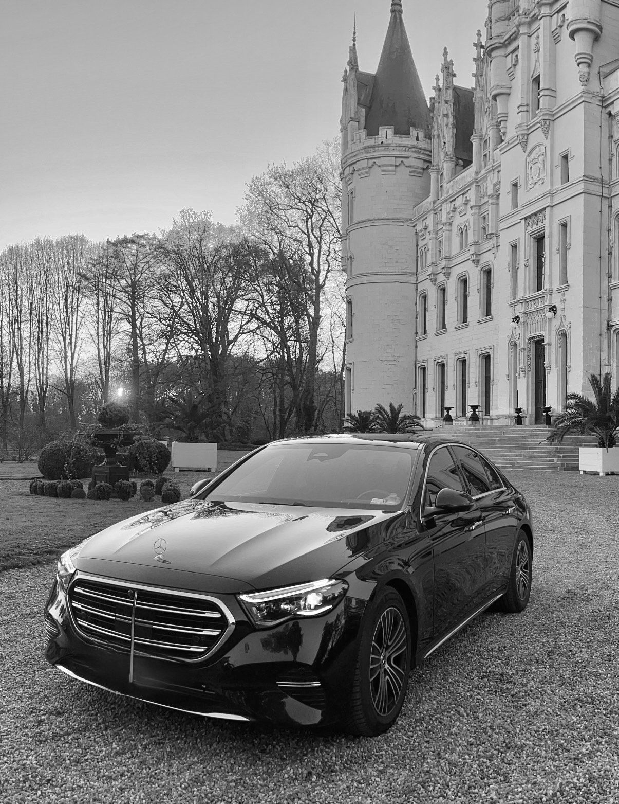 SOLUDRIVE Pivate driver