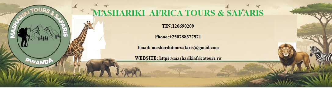 Mashariki tours and safars