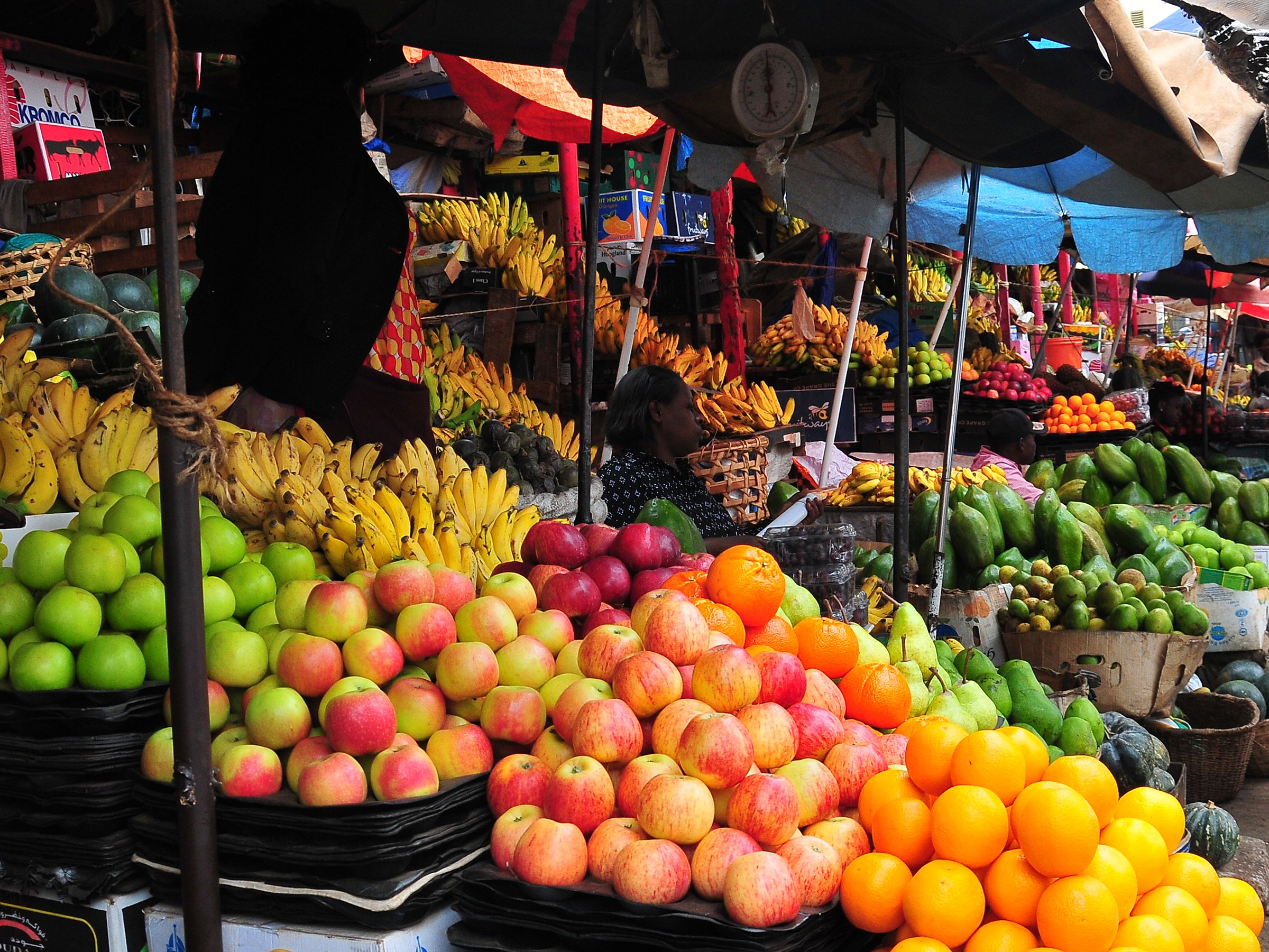 AFRICA SUSTAINABLE JOURNEYS