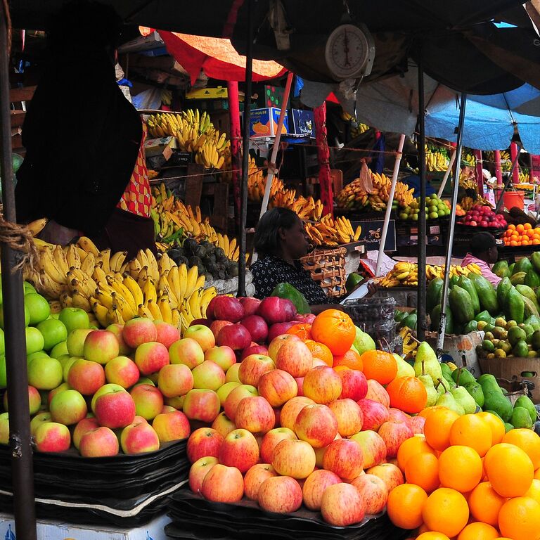 AFRICA SUSTAINABLE JOURNEYS