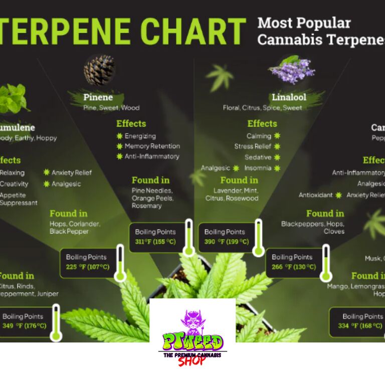 PTW - Cannabis Dispensary HH