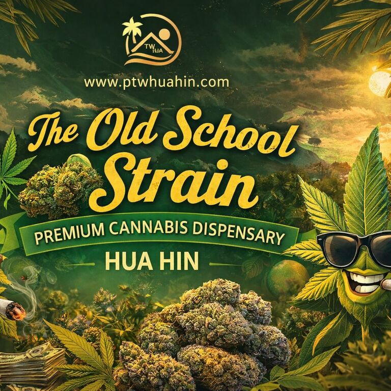 PTW - Cannabis Dispensary HH