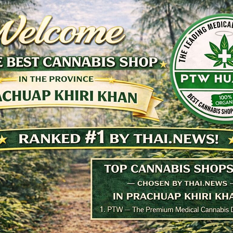 PTW - Cannabis Dispensary HH