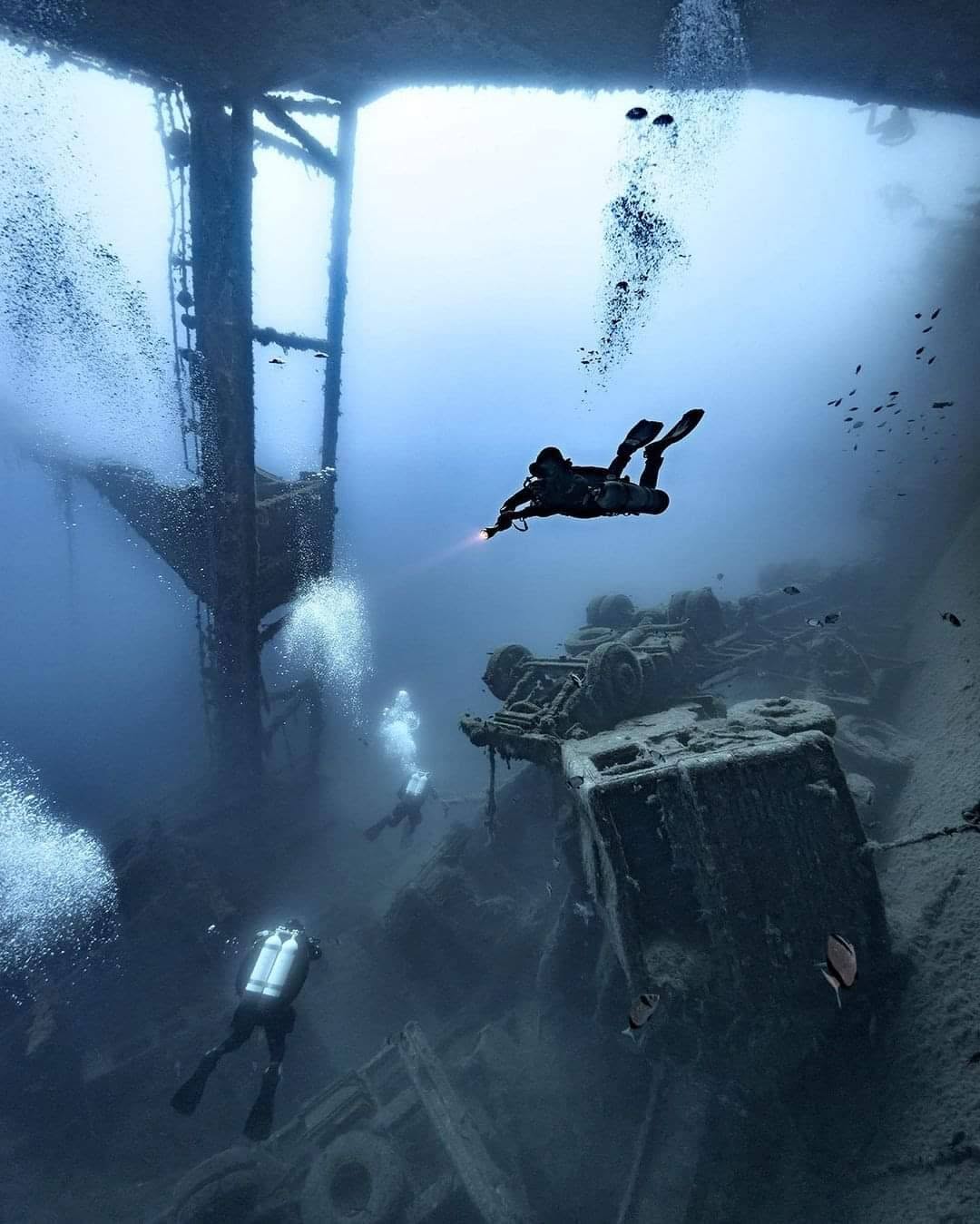 ALPHA DIVERS