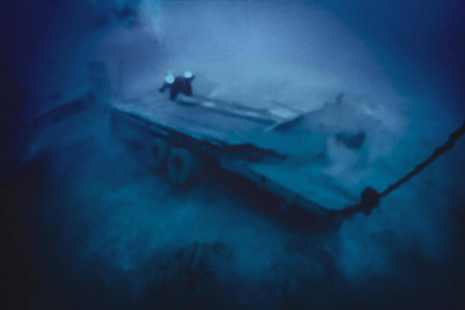 ALPHA DIVERS