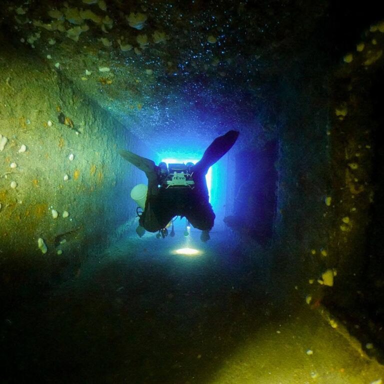 ALPHA DIVERS
