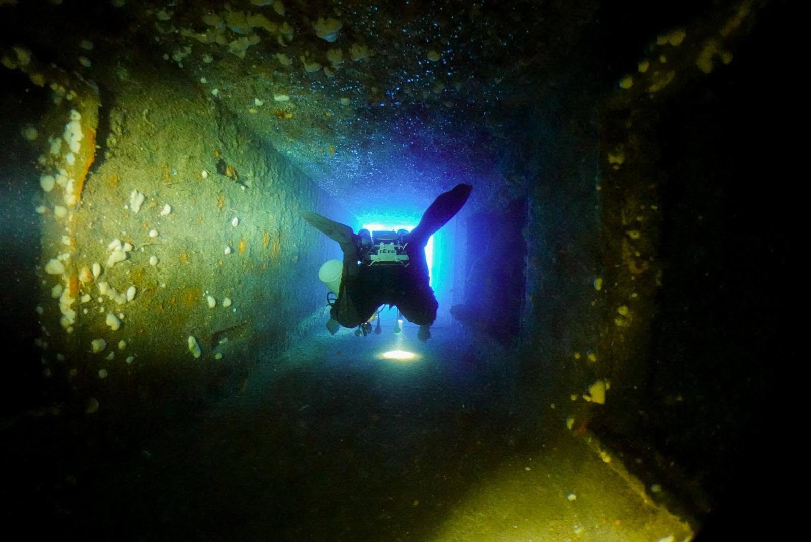 ALPHA DIVERS