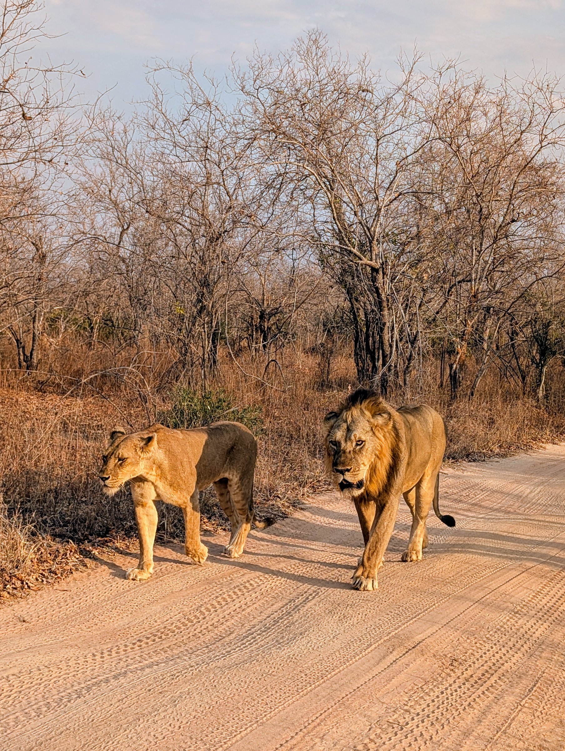 Iringa Cultural tours & Safari