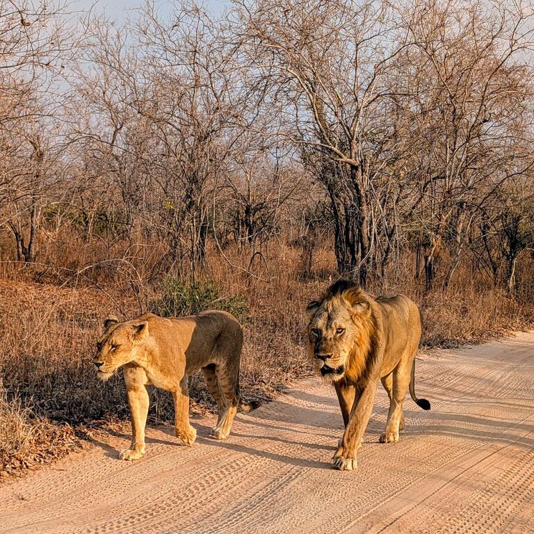 Iringa Cultural tours & Safari