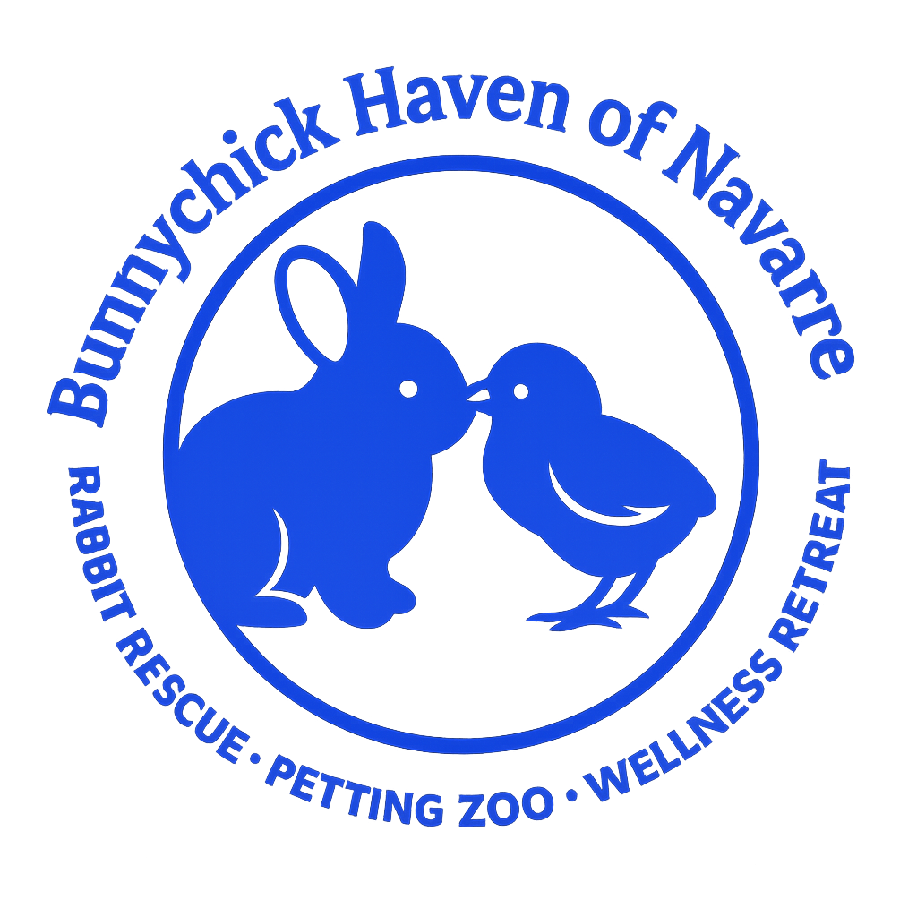 Bunnychick Haven of Navarre