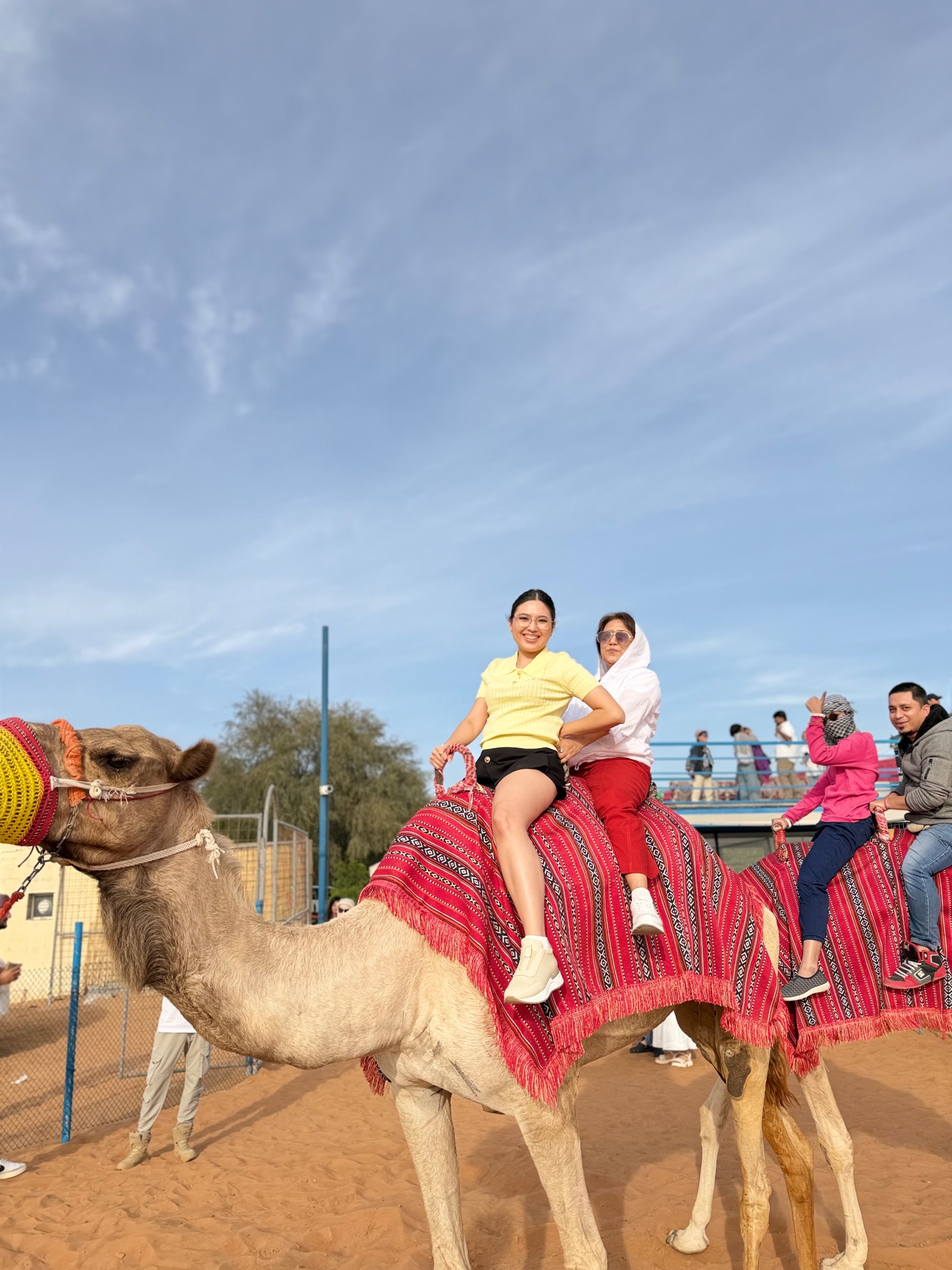Desert travel vibe tourism LLC